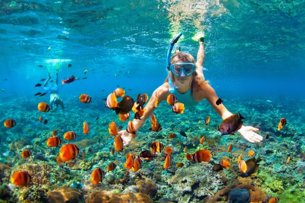 Leukste stranden van Curacao - snorkelen