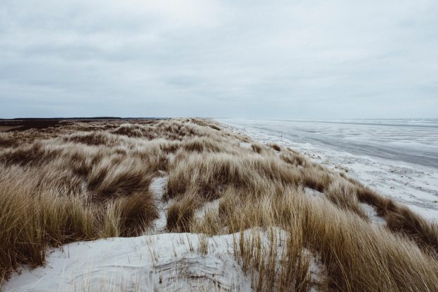 Waddenzee