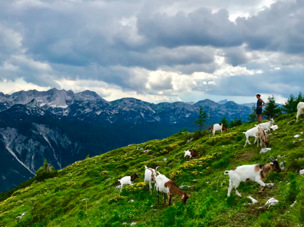 populairste campings in Slovenië die het best scoren op locatie