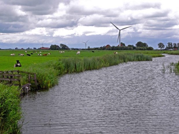 Nederland vakantieparken populairst