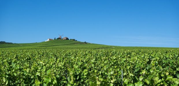 populairste campings van de Champagne-Ardennen