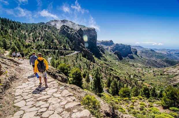 Gran Canaria in het voorjaar natuur