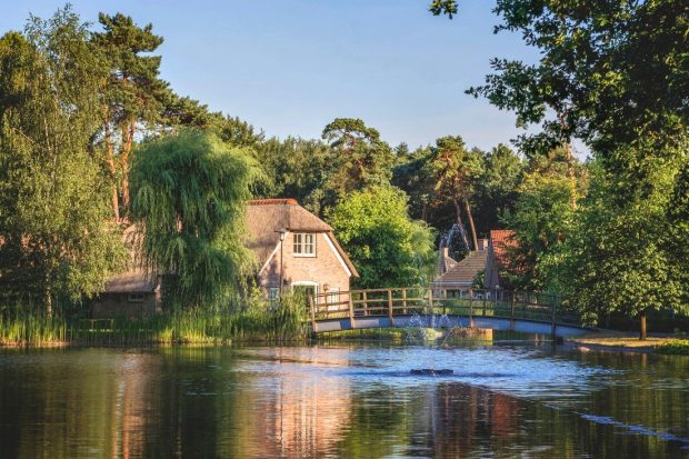 Header vakantieparken
