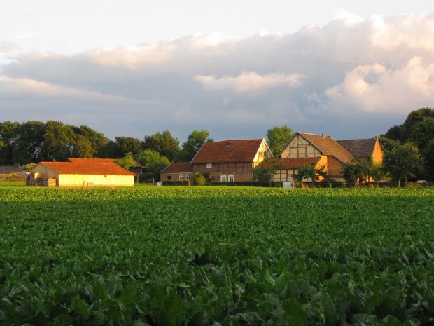 Schoonste vakantiehuis