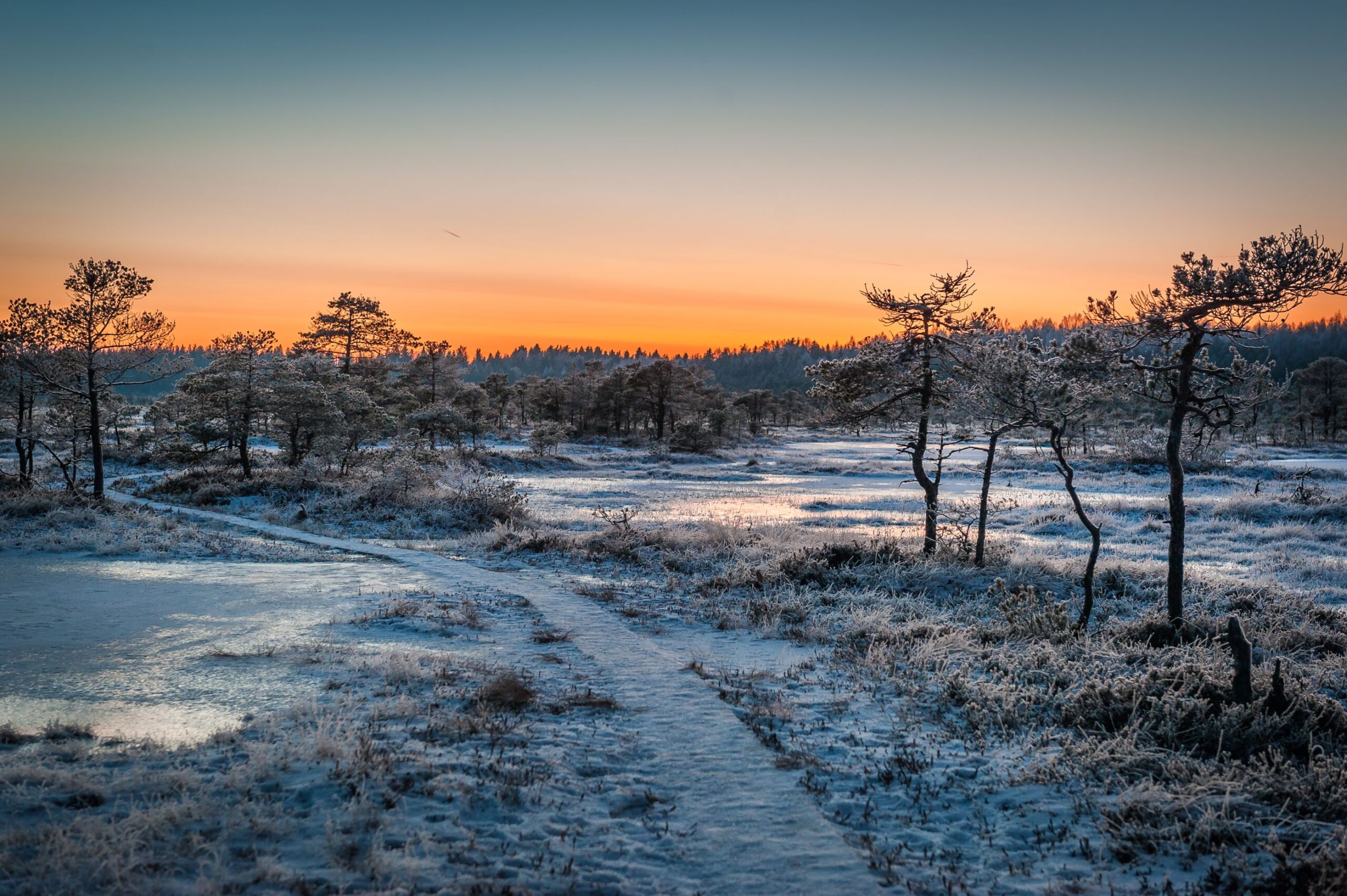 Estland - Winter Vol Liefde 2025