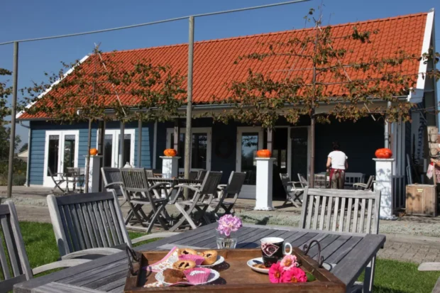 Minicamping en B&B Sint Anthonijshoek