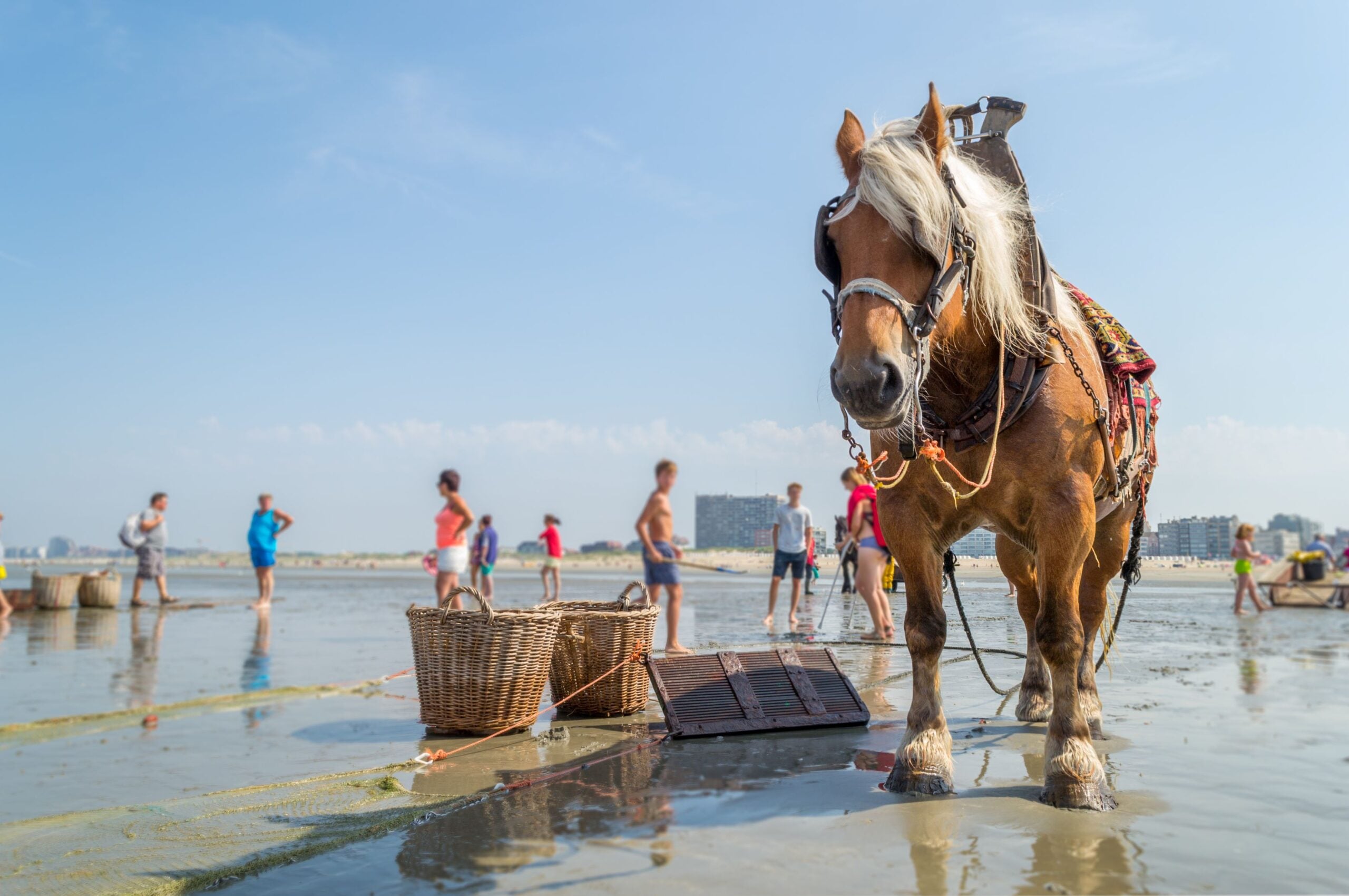 Belgische Kust - Oostduinkerke