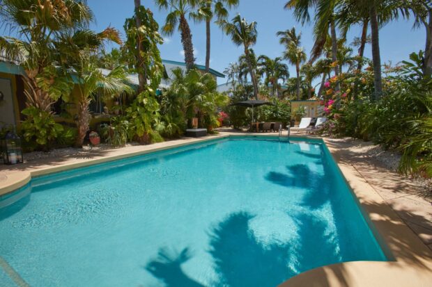 Complete reisgids voor Aruba: Wat zien, doen en proeven op het eiland - Paradera Park Appartementen