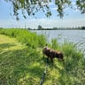 5 sterren zeker waard-593e0618-357b-4059-a4de-d788c21a5456