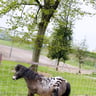 Mooie plek voor een rustige vakantie-6d1385d1-2028-4478-a0e1-d815df487155