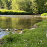 Bij relaxi is het inderdaad relaxen-04027221-6064-42ff-9ee1-b4db65411c7b