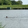 5 sterren zeker waard-3e929563-961a-49a6-8e26-1a877ff816d4