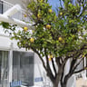 Paradijsje op Samos-868cf071-8e33-475d-86c2-ac72e9fe92e8