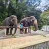 Geweldige 17 dagen Rawai-843448e7-0570-4b06-bb07-c43f0aca942b