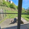 Fijn park in een mooie omgeving -fce07dfb-4110-4cd0-86d0-4ccd7393923f