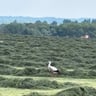 Geweldige camping in een prachtige omgeving-05164b36-c11b-403d-a805-9287b5a28f63