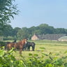 Fantastische camping !-f49e15fc-0c7c-4580-b052-6e84658c31bc
