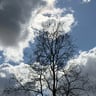 Mooie Camping midden in de natuur van de Veluwe!-8704cf24-65af-4fc6-9d41-0c1df1be9d94