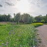 Prachtige camping! Op loopafstand van strand.-0c30ef85-acbd-4c38-914e-532419312f64