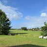 Genieten bij de Beddestee-3ff1fd67-8761-4418-ab8b-47984be6a43c