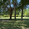 De prachtige camping Marecchia da Quinto-d6f9a4ff-d559-4be5-bd33-da9d5cdf5ff0