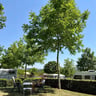 Zeldzaam mooie camping -d851586b-e2ab-4c06-b474-7e57e48f7f11