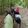 Fantastische manege voor jong en oud -ec855099-aff8-408c-86f1-1b2b26e61a87