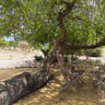 Abc resort. Ad& heidie -d8f9e430-16ef-4355-b19c-a1f3439a1865