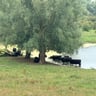 Zeker tevreden -f60c615c-22e6-434f-b693-14060176556e
