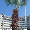 Fijne vakantie op een goed verzorgde lokatie-aa1a0808-89db-422c-af91-e9c25ec4ba9b