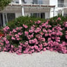 Heerlijke vakantie in Fito aqua bleu resort-476867ce-91c1-43d4-a674-cc8e5a3c56ea