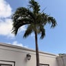 Goede vakantie met een vervelend einde-5b8e394f-27f1-473d-af40-ba1cc84944d0