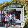 Met de Franse slag-e7f60f96-8760-4a15-a094-772588356f60
