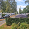 Uitstekend!-1ed78f6d-fd8d-4be7-b1a8-8708f74faf46