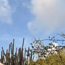Goede vakantie met een vervelend einde-2826c6a2-d93c-4548-8df0-01dec1de3532