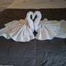 Geweldig!!!!-e21ae465-e5ef-4d3e-b6fb-0cf3e4ba13a1