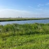 Zeker niet verkeerd-4d4894fb-9f14-4d5e-80e8-a9124a63318e