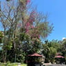 Droom vakantie -3ad1edf0-982b-4072-b727-63614abe831f