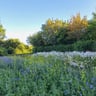 Prachtige camping! Op loopafstand van strand.-bb294798-c4bc-4d17-aa8c-11f4bb8f9b8d