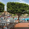 Een geslaagde vakantie-b608bdb4-b7df-4f60-b38f-b198d3bb6ba9