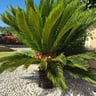 Stelle Marine, prima hotel!-00e1889a-78fa-4cd1-9870-2d8de6b2be20