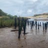 Heerlijke camping!-78156858-d809-4ea5-b247-6cef66abe156