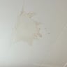 Slechte Hotelkamer -7da85d11-954b-404c-b529-796ef12ea879