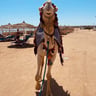 Geweldige vakantie-66c2fc93-1063-47c0-ab1d-b57313639f30