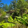 Geweldige plek middenin de natuur!-f8f2fcab-3a18-463f-913e-e2afd33a2d41